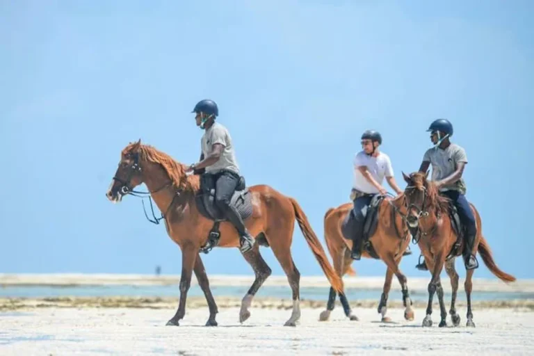 zanzibar-beach-horseback-ride-and-swim-with-your-horse-3280308